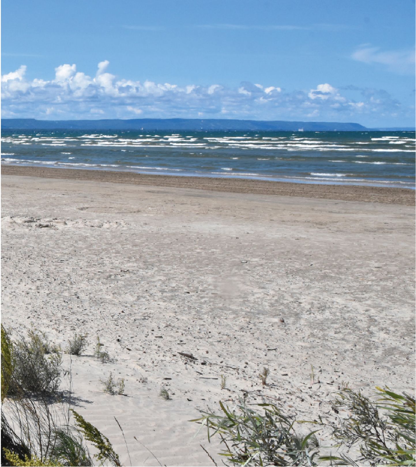 Wasaga
